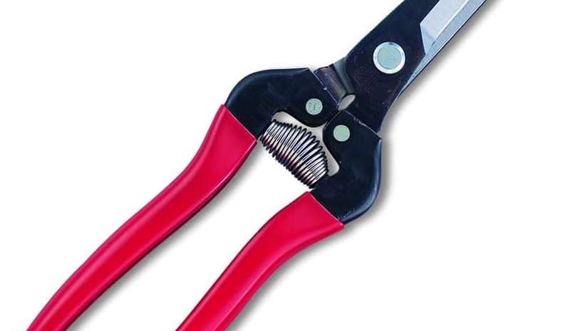 Секатор садовый ARS, 200мм (прямой), красный, арт. 300LW-BP