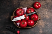 Кухонный нож Tojiro, серия Special, Santoku 105мм (черный), арт. FK-405