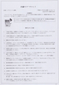 Мягкий каучуковый коврик (разделочная доска), Hasegawa, 500х250х5мм, арт. RM5-5025
